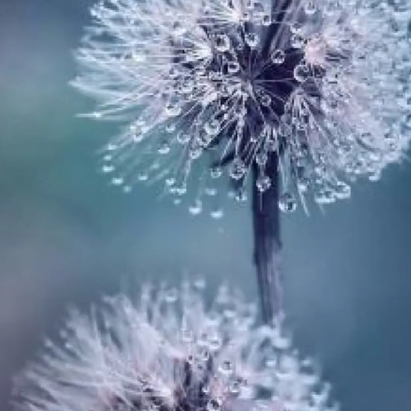 Thank you for visiting my closet - Picture 15 of 16